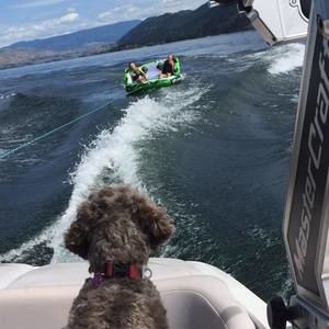 Meet your Posher, Elizabeth